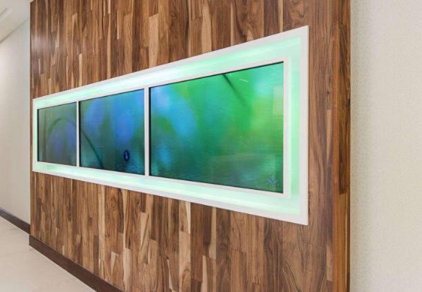 SpringHill Suites by Marriott Fort Worth Fossil Creek image 16